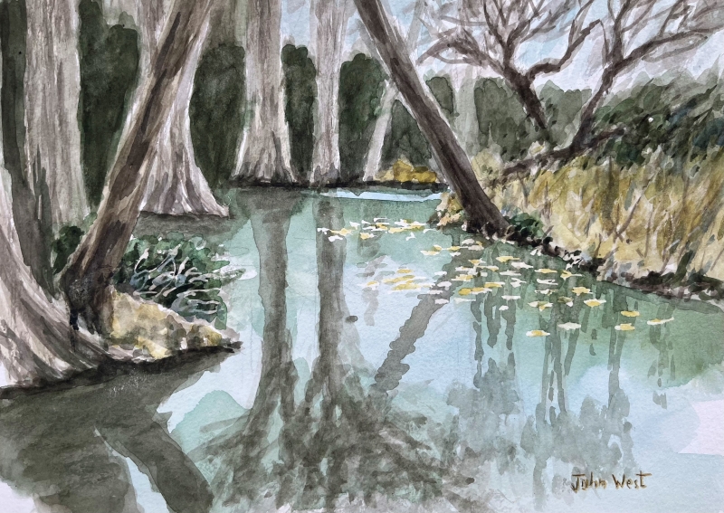 Knox Park Lily Pond by artist John West